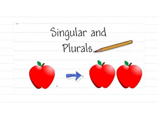 singular-and-plural-noun